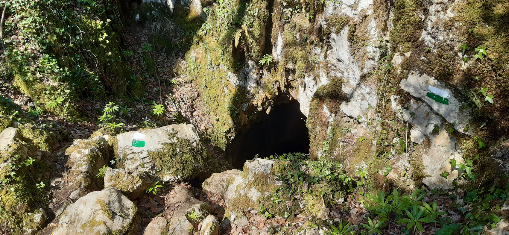 entrada a la cueva de Asketaldea